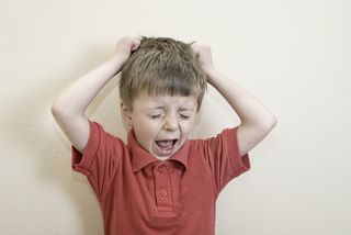 A young boy throws a temper tantrum