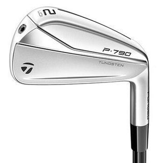 TaylorMade P790 UDI 2021 Utility Iron