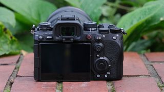 Rear view of the Sony a1 II camera on a brick wall in front of green plants