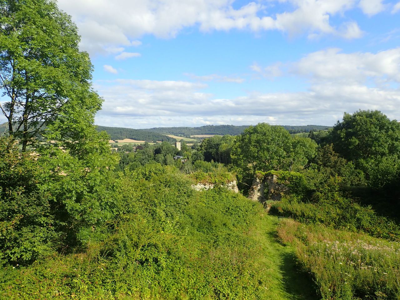 An overhead shot of the views of the landscape, which looks on the long fields that surround the property