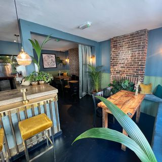 Blue colour scheme bar with natural seating and plants