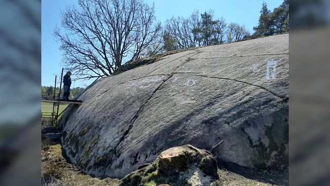 2 700 Year Old Petroglyphs Depicting People Ships And Animals   F484QSR5vkNuDkqCtjCwxZ 650 80 