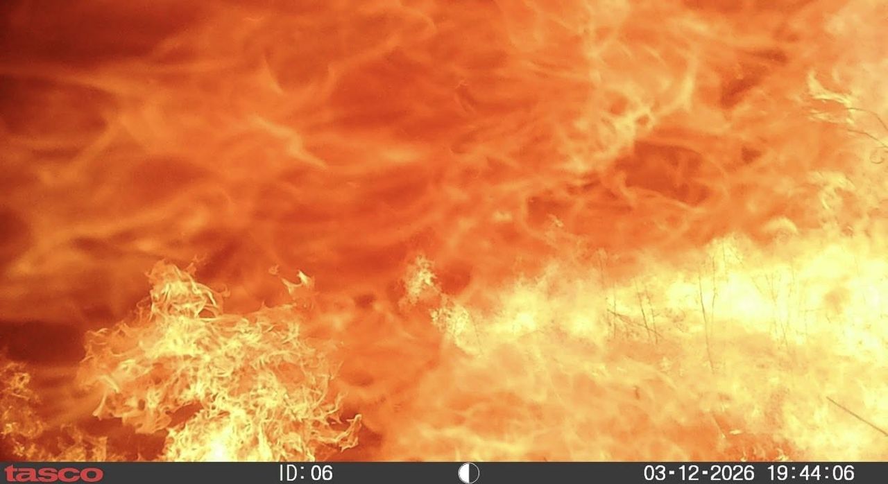 A trail camera went through one of the Nebraska wildfires on March 12, 2026