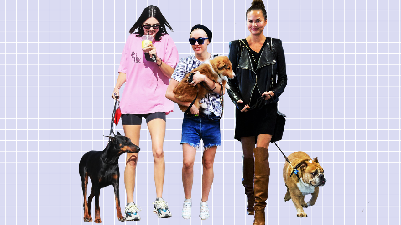 Celebs with their dogs