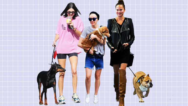 Celebs with their dogs