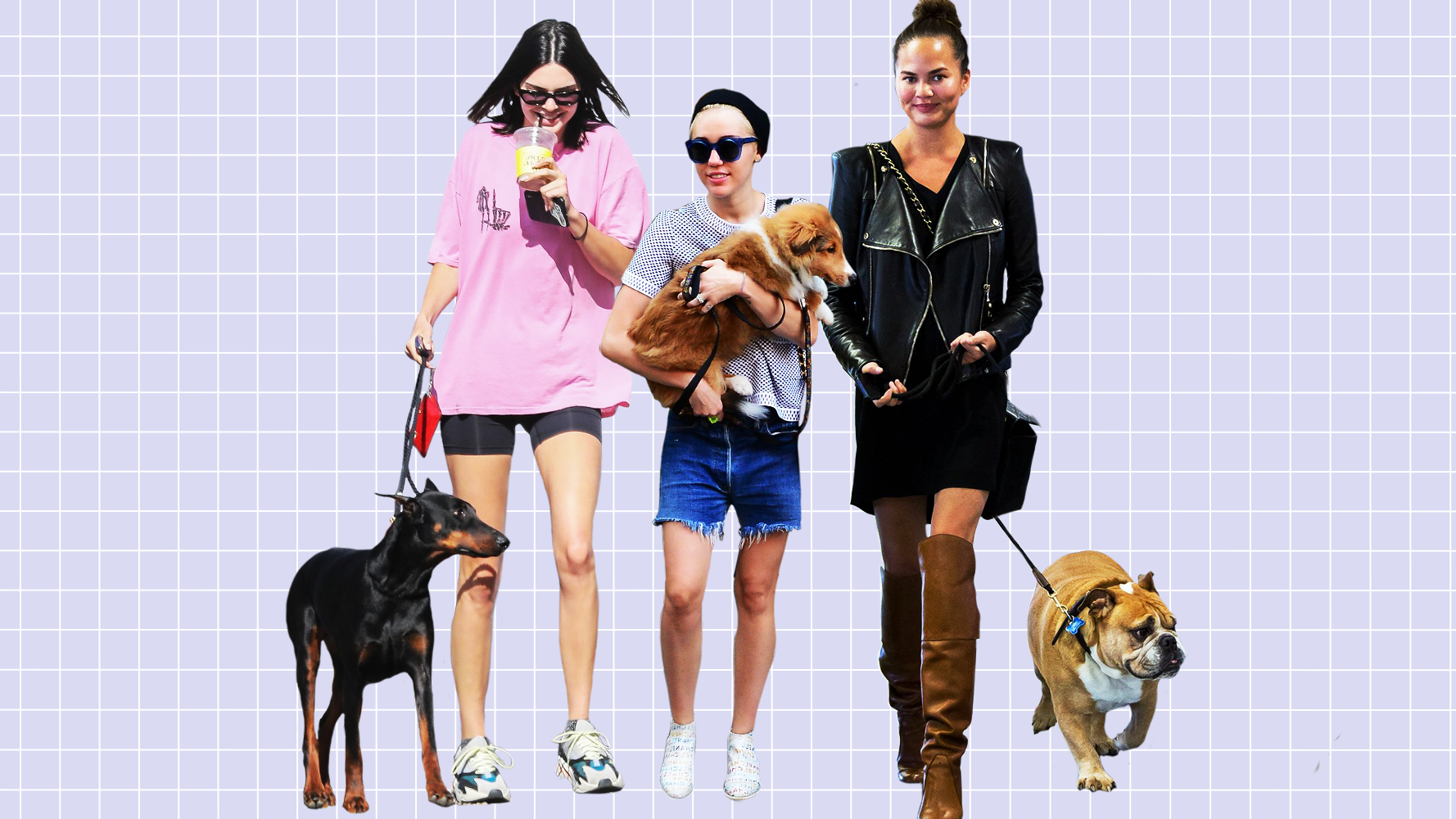 Celebs before becoming famous who did dogs