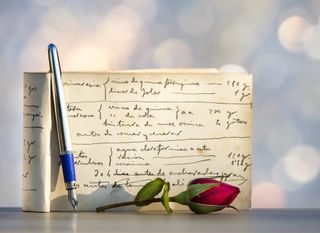 A note book is propped up with handwritten notes on the page. Next to it is a fountain pen and a red rose.