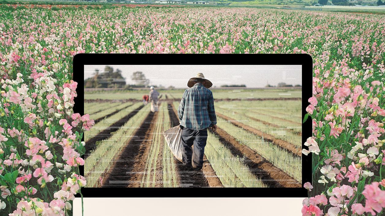 flor martinez organizing farm workers over zoom