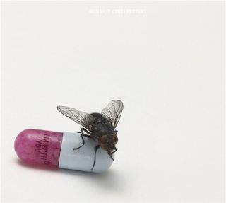 Damien Hirst's artwork for Red Hot Chili Peppers' I'm With You