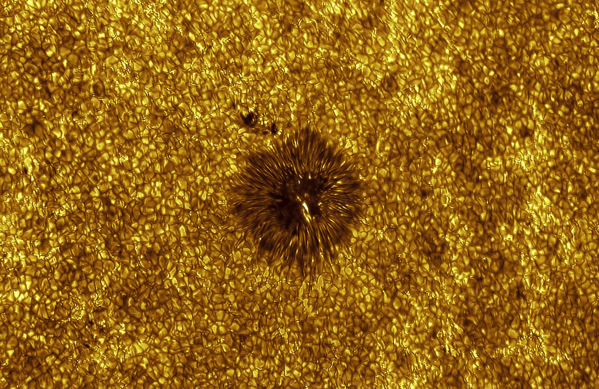 A close up of a sunspot, with a golden background