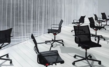 Black mesh office chairs.