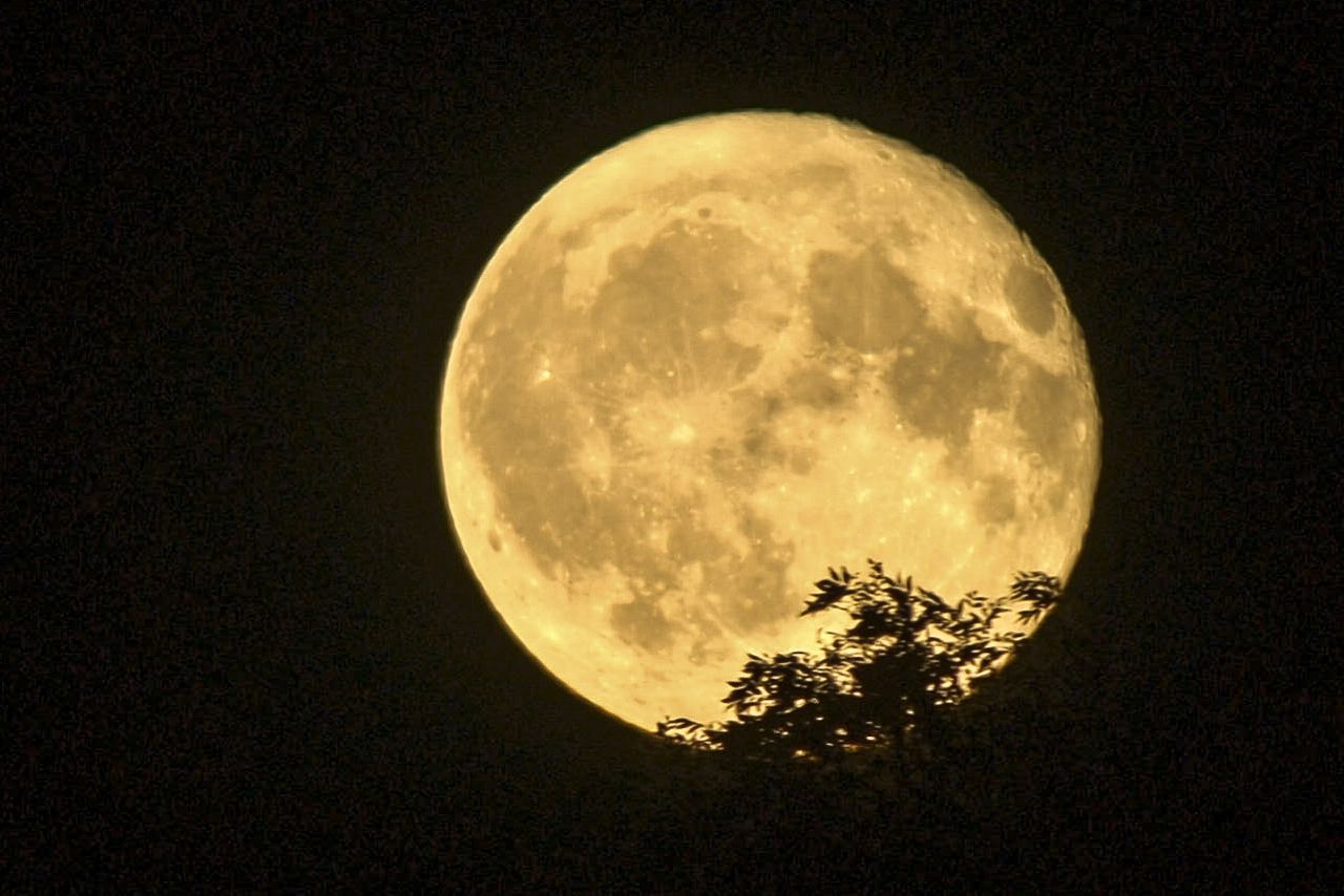 Closeup photo of the full moon taken with the Vaonis Hestia telescope paired with Google Pixel 6