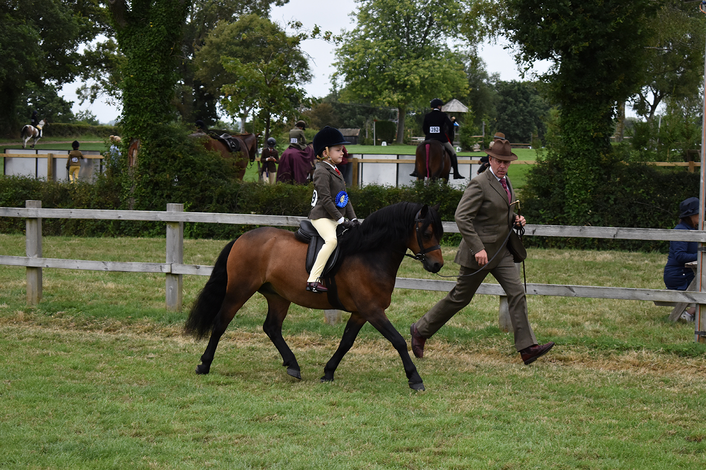 Springwater Tactician was among the 2023 Royal International Horse Show winners