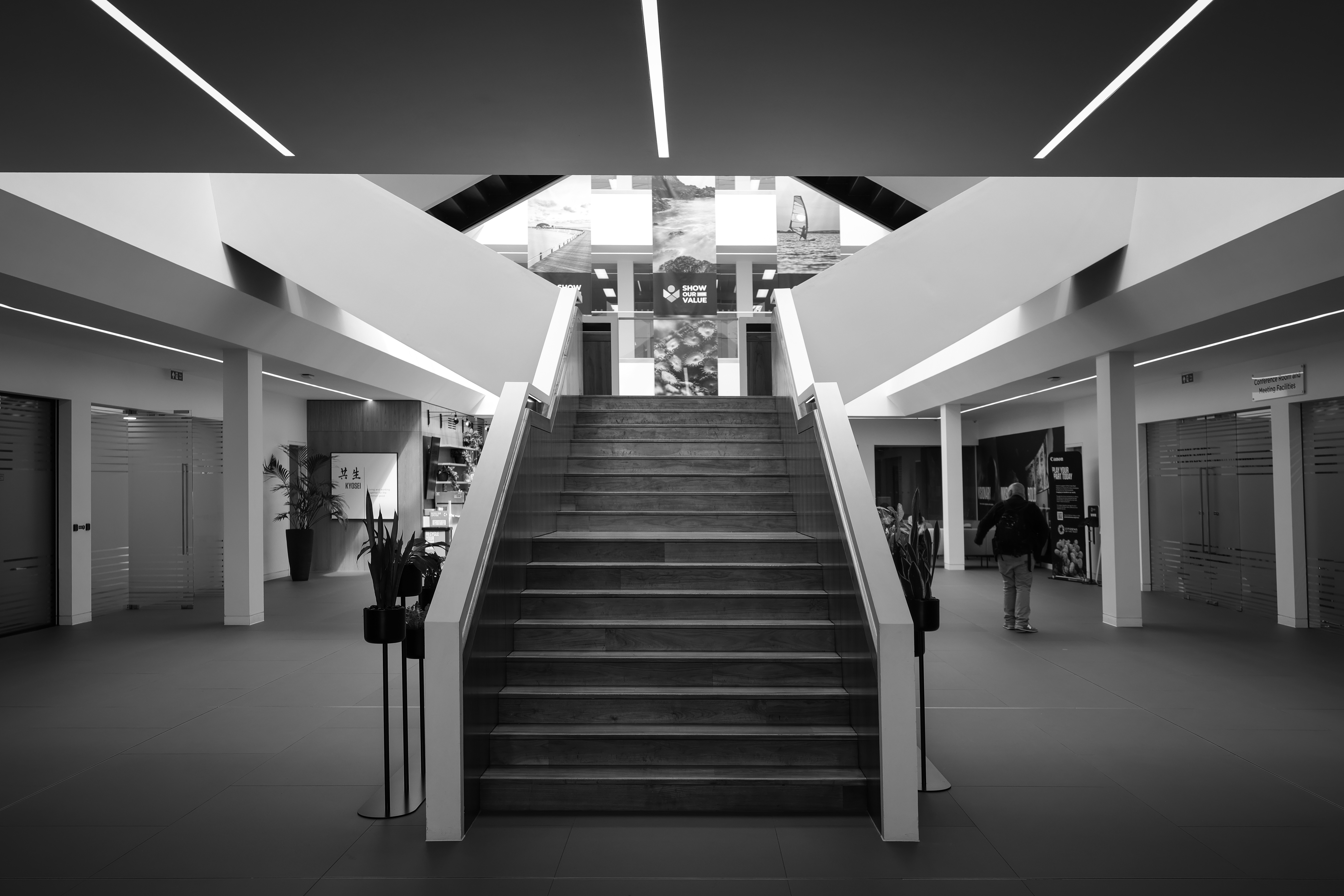 Sample image shot on the Canon EOS R6 V with the Canon RF 20-50mm f/4L IS USM PZ