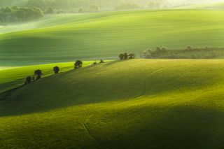 Spring morning on the South Downs