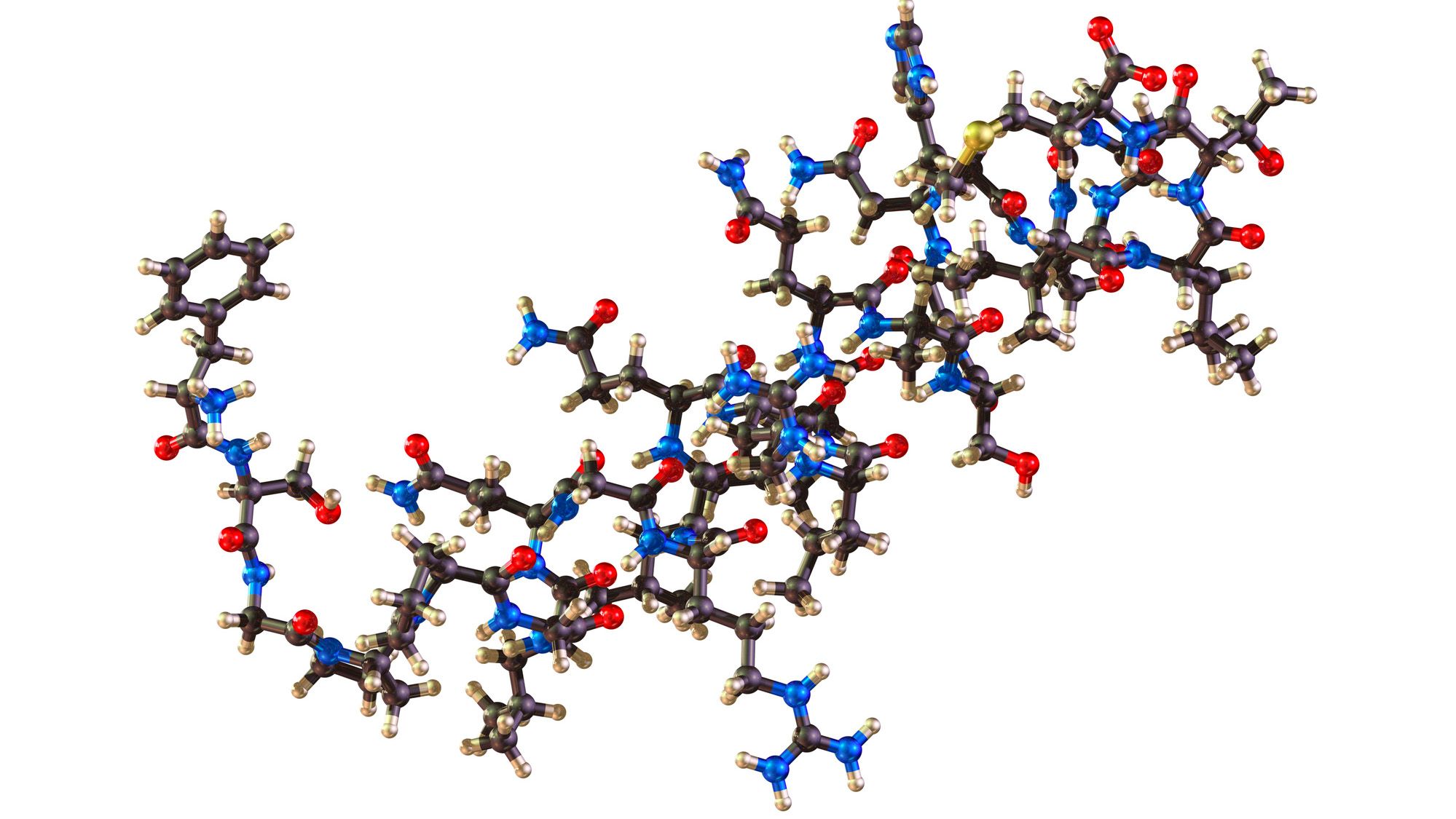 An illustration of a blue, red and black molecule against a white background