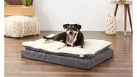 Frisco Plush Orthopedic Pillowtop Dog Bed w/Removable Cover |RRP: $63.99 | Now: $44.79 | Save: $19.20 (30% discount applied at checkout) at Chewy