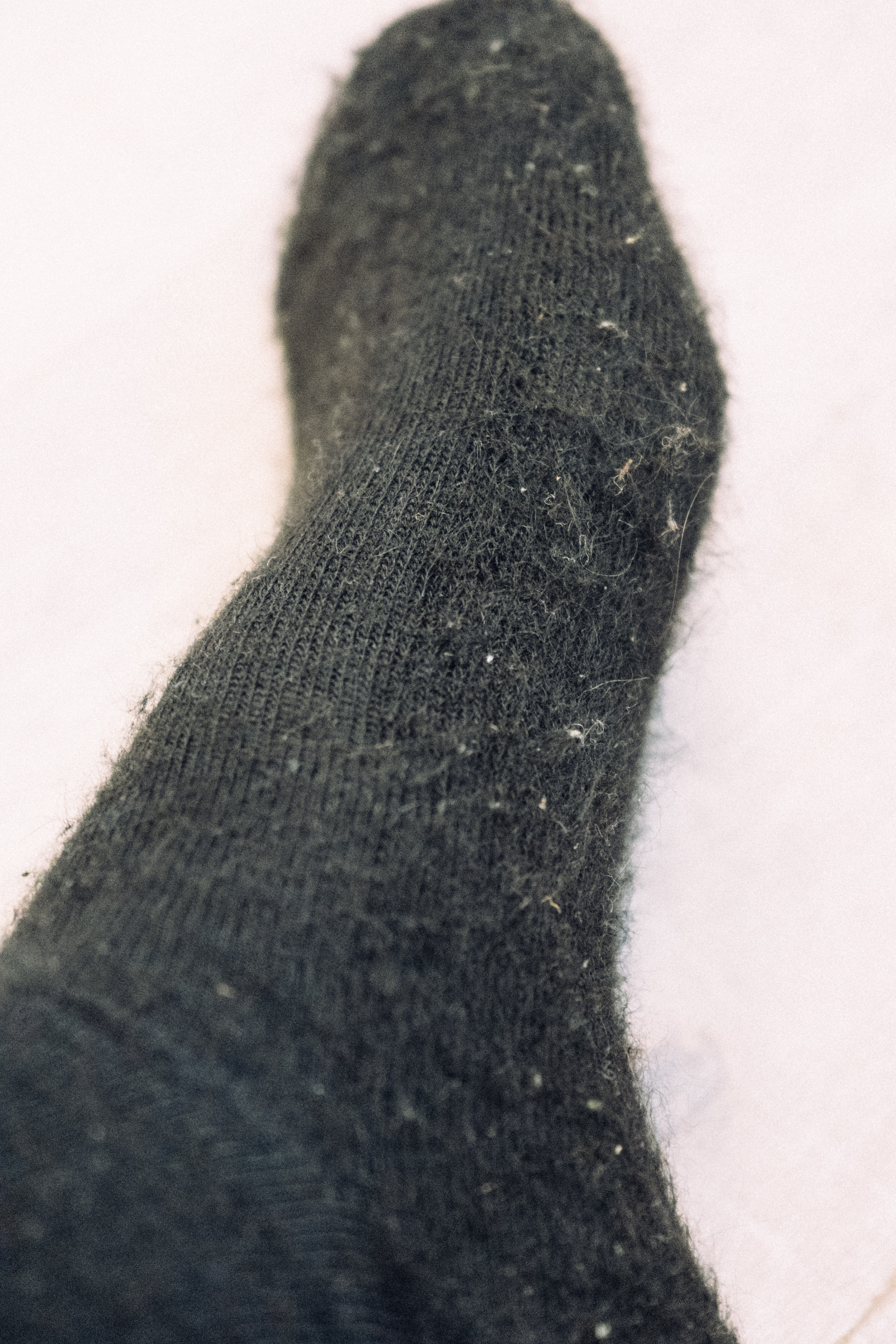 A close up of a black fluffy cycling sock