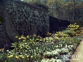 Munstead Wood - Gertrude Jekyll's garden at Munstead Wood - photographed in 1912 (©Country Life Picture Library)