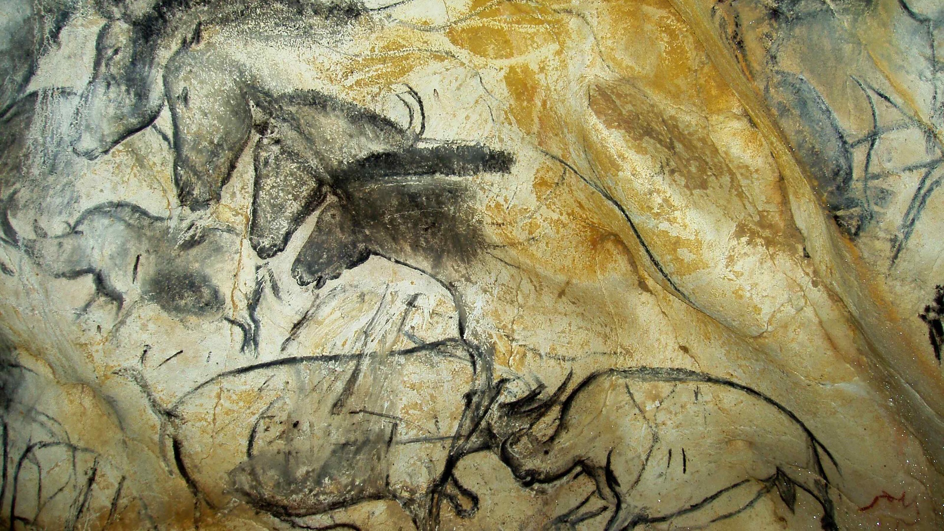 Pinturas de animais nas paredes da caverna de Chauvet