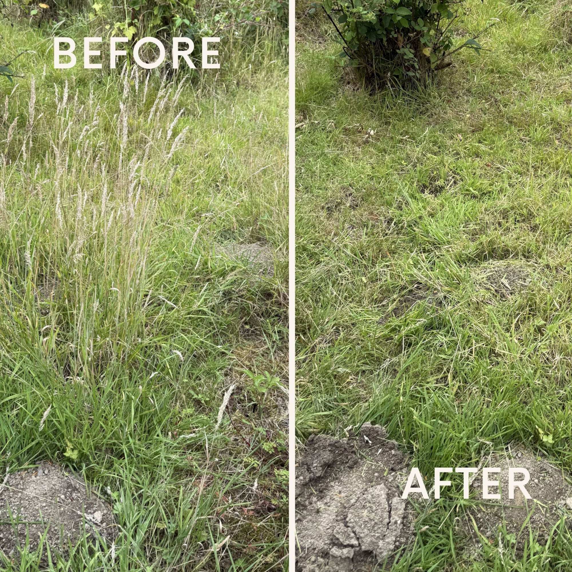 Before after trimming grass with karcher grass trimmer