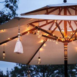 parasol lights with hanging light and tree