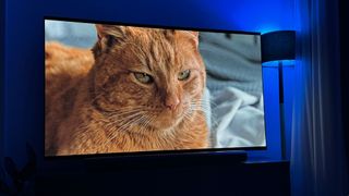 Image of Jones the cat from the movie Aliens, shown on the LG G4 OLED TV. A floor lamp emitting blue light is to the right of the TV.