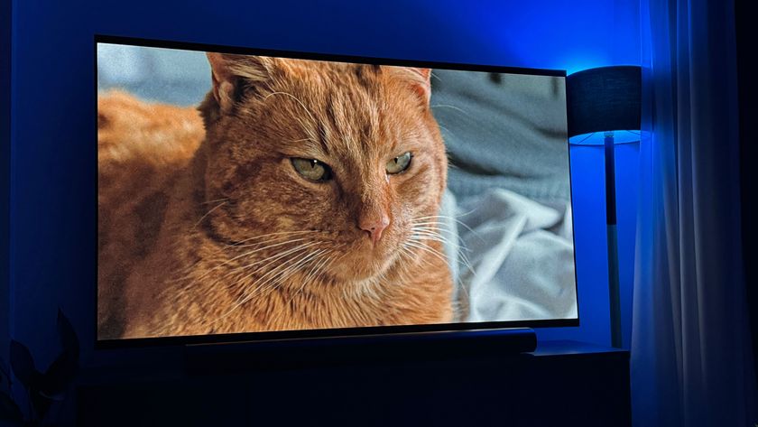 Image of Jones the cat from the movie Aliens, shown on the LG G4 OLED TV. A floor lamp emitting blue light is to the right of the TV. 