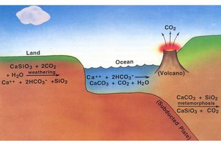 Carbon-silicate cycle speed-up