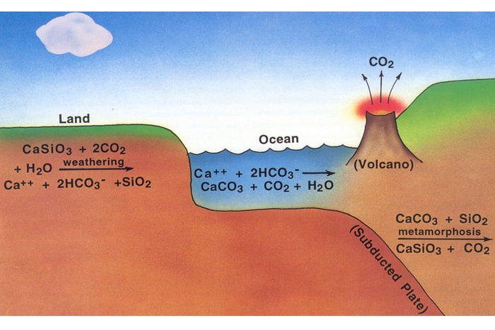 Carbon-silicate cycle speed-up