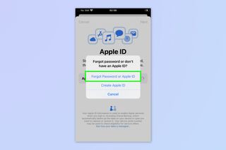 A screenshot showing how to find your Apple ID on an iPhone or iPad that is logged out