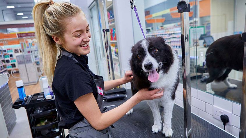 Vet with a dog