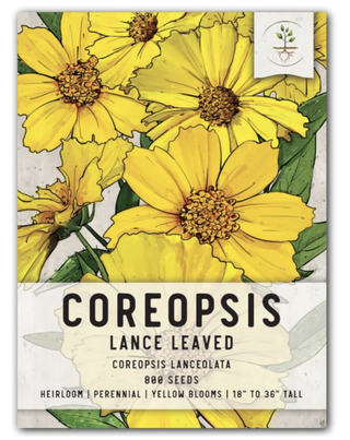 coreopsis seeds