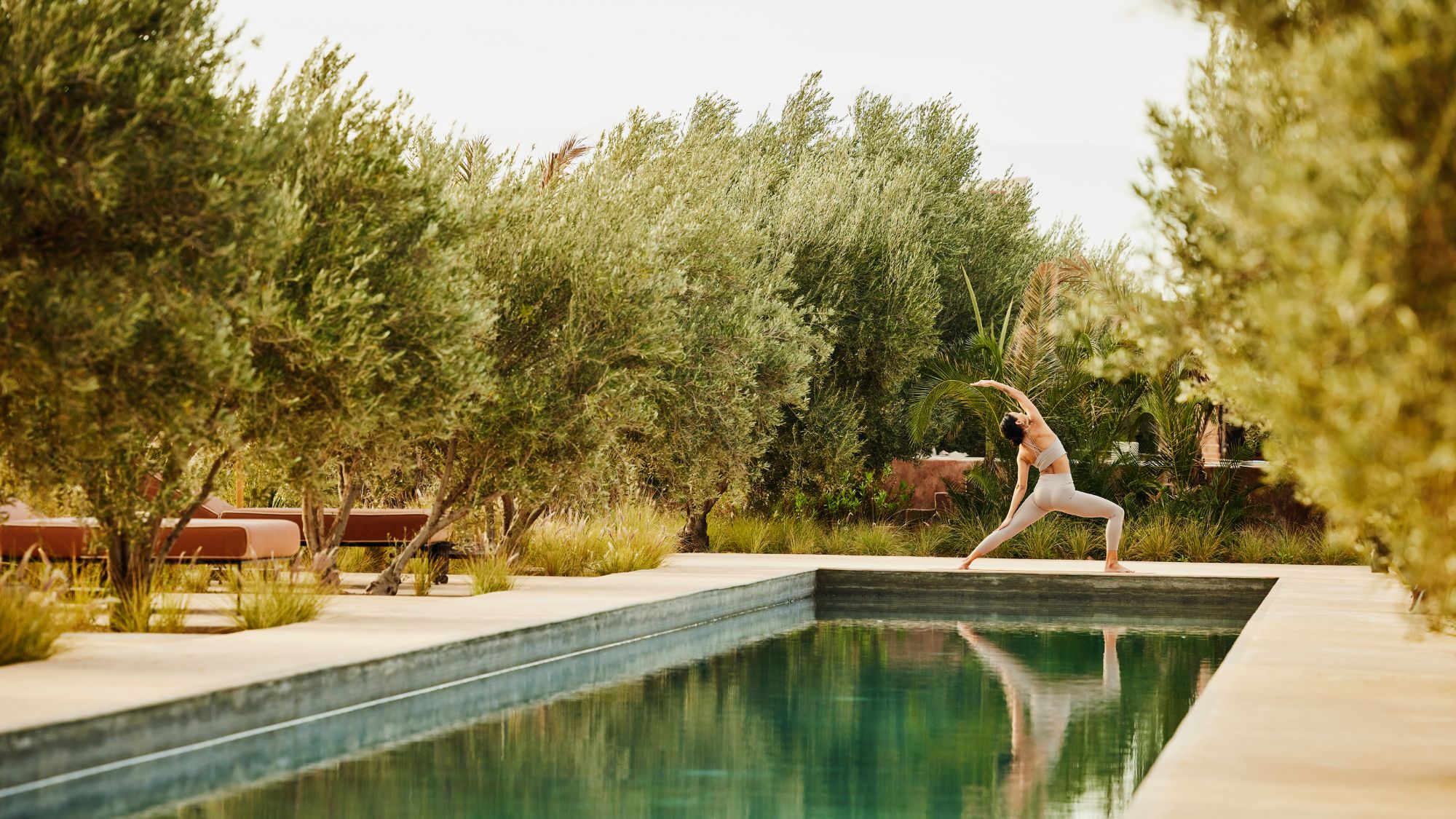 Quiet magic mornings