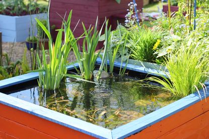 Budget pond ideas: 14 ways to create a stunning feature with water for ...