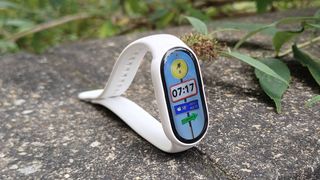 The Xiaomi Smart Band 10 atop a stone wall.