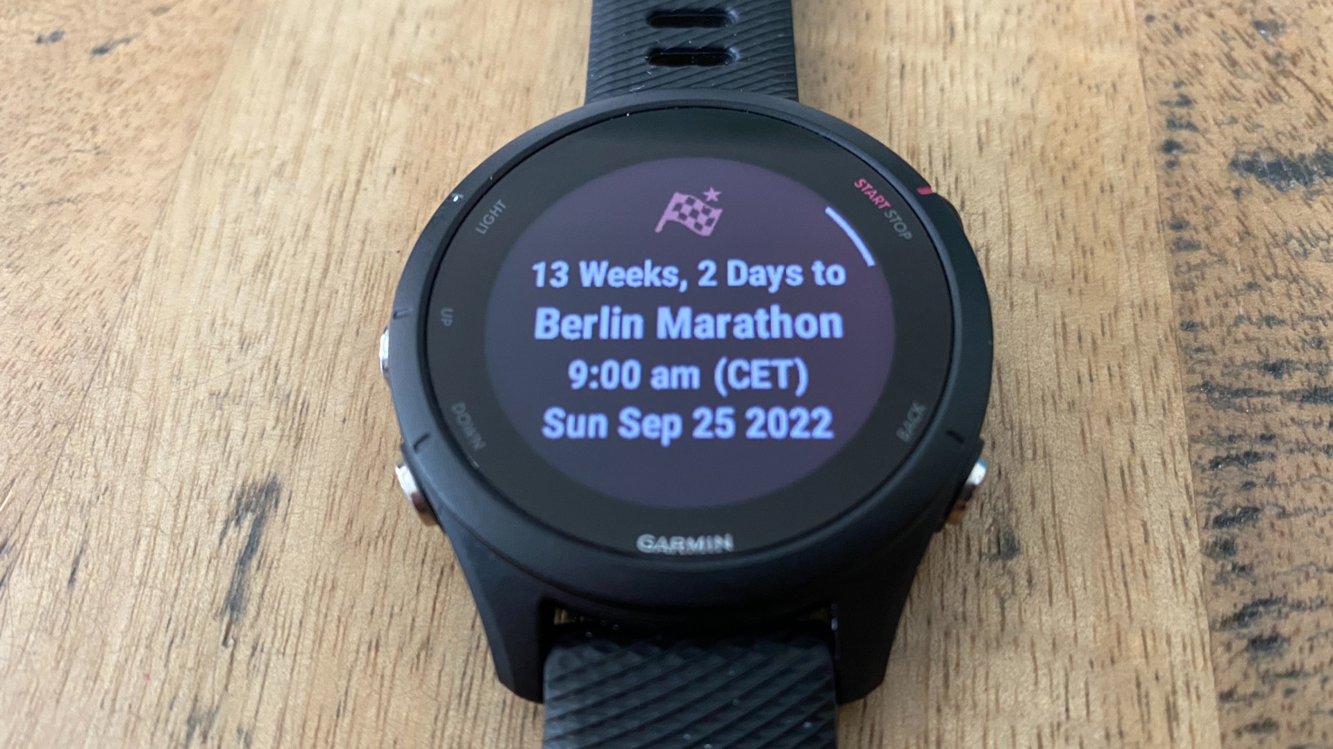 Garmin Forerunner 255 race widget