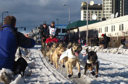 Iditarod Trail Sled Dog Race.