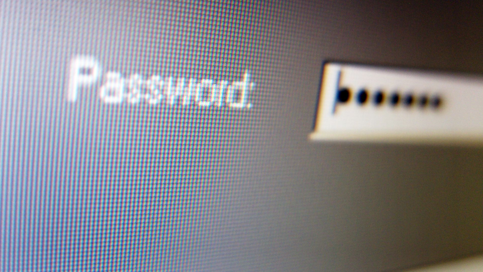 A zoomed-in picture of a password entry screen. A password has been entered but is concealed