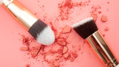 Blush brushes and pink blush