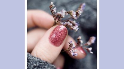 velvet nails holding lavender on a purple background