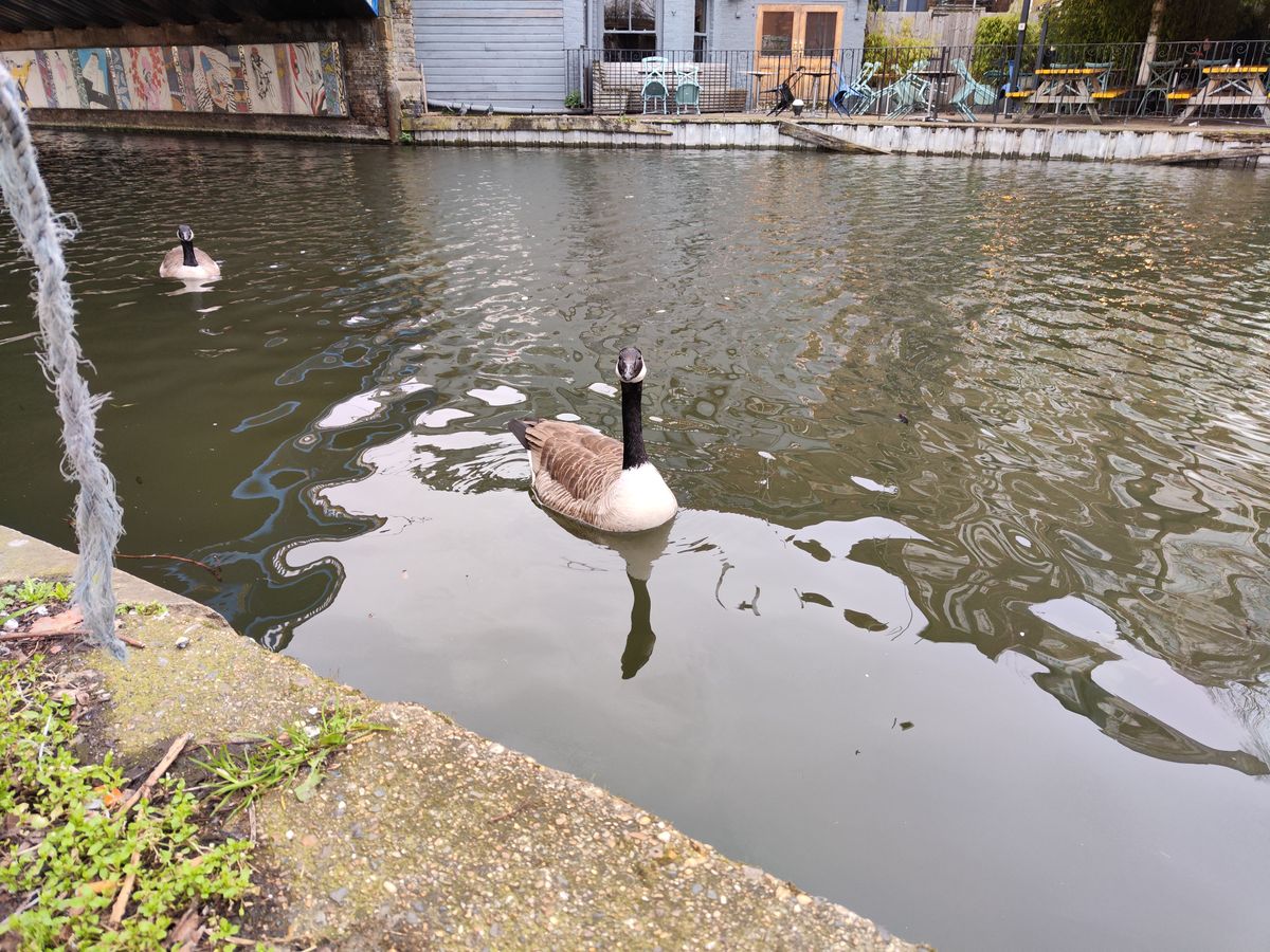 Xiaomi 12 camera sample