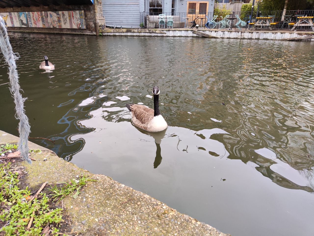 Xiaomi 12 camera sample