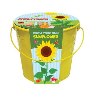 Children's Sunflower Grow Bucket 