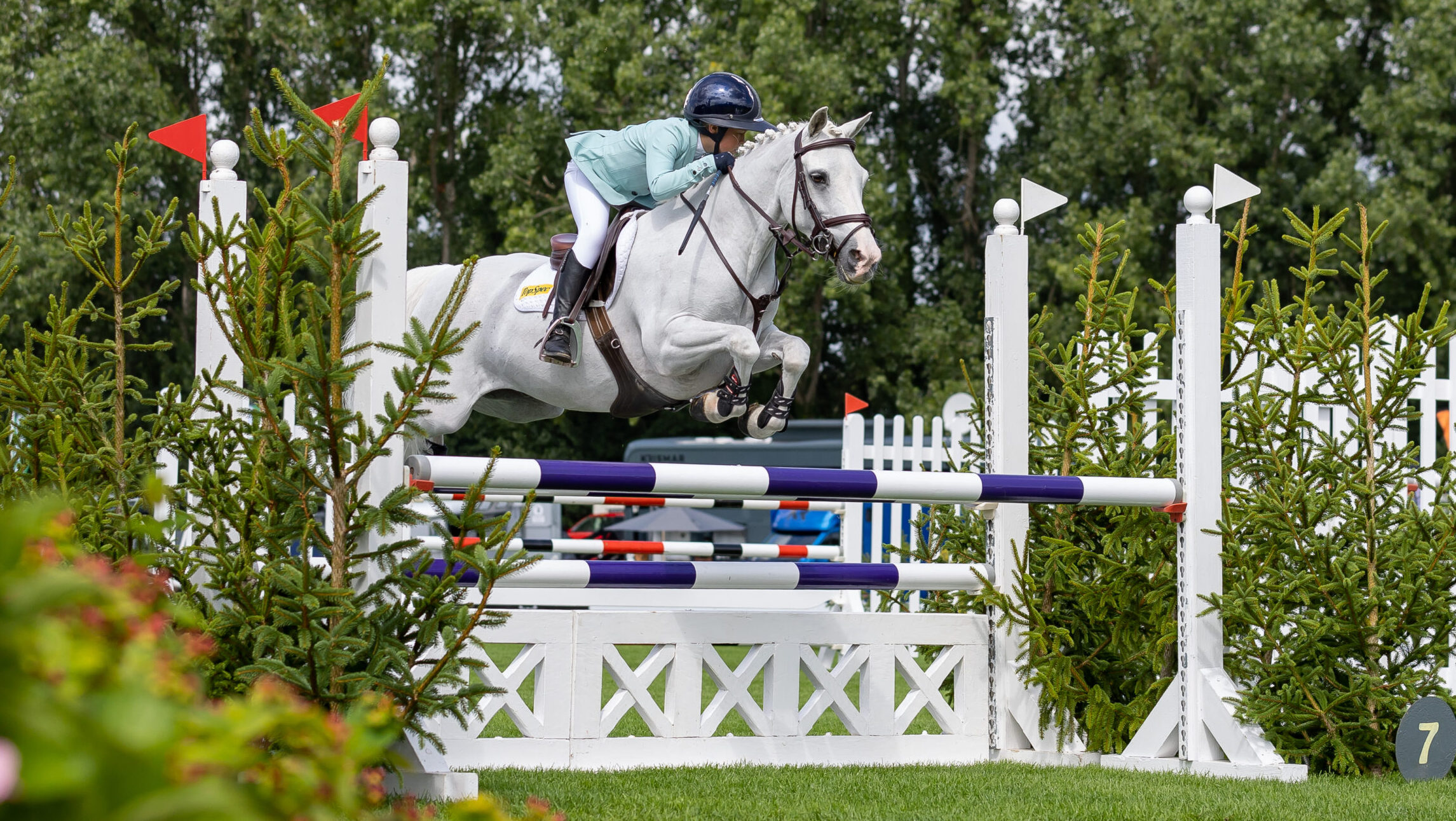 Anya Dewey Clark and Jim jump a show jumping fence in The Pro Ponies UK BS Winter 128cms championship at the 2025 Royal International.