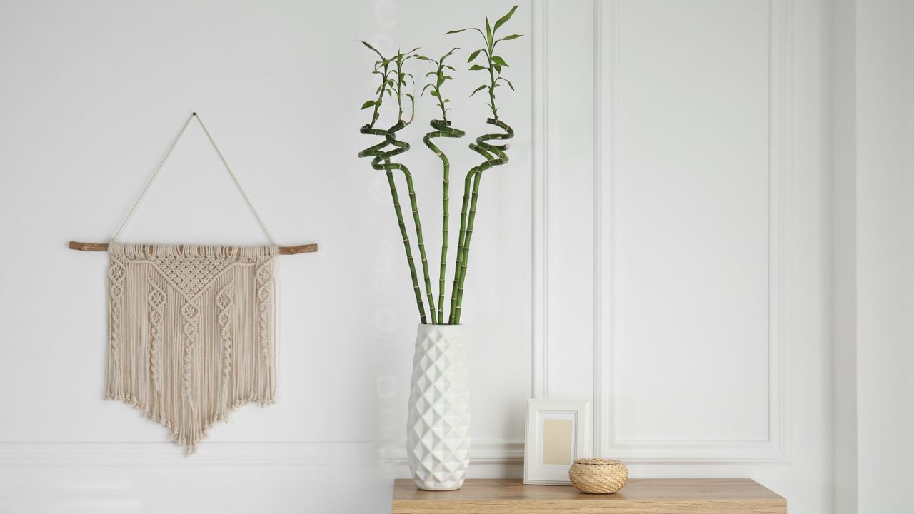 Vase with green bamboo stems on chest of drawers in room