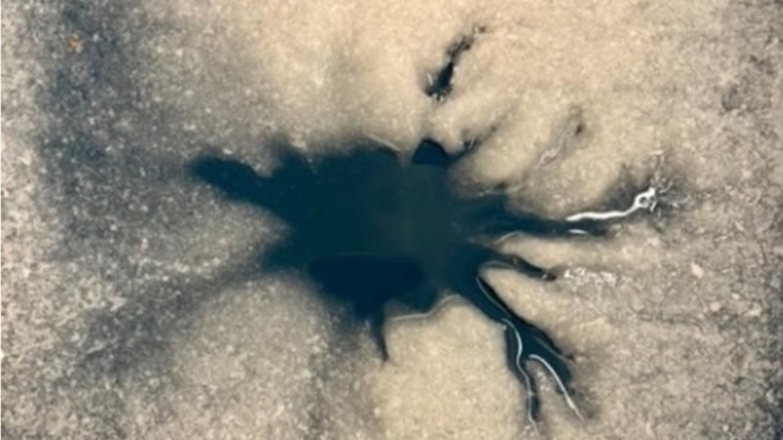 A photo of a dark "lake star" created in a laboratory