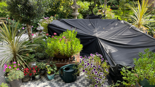 garden with pots, plants, tiled floor and an L-shaped piece of furniture protected with a black cover