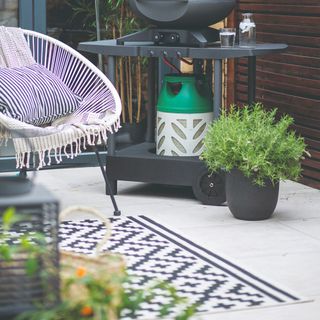 A patio with a barbecue and a potted rosemary plant