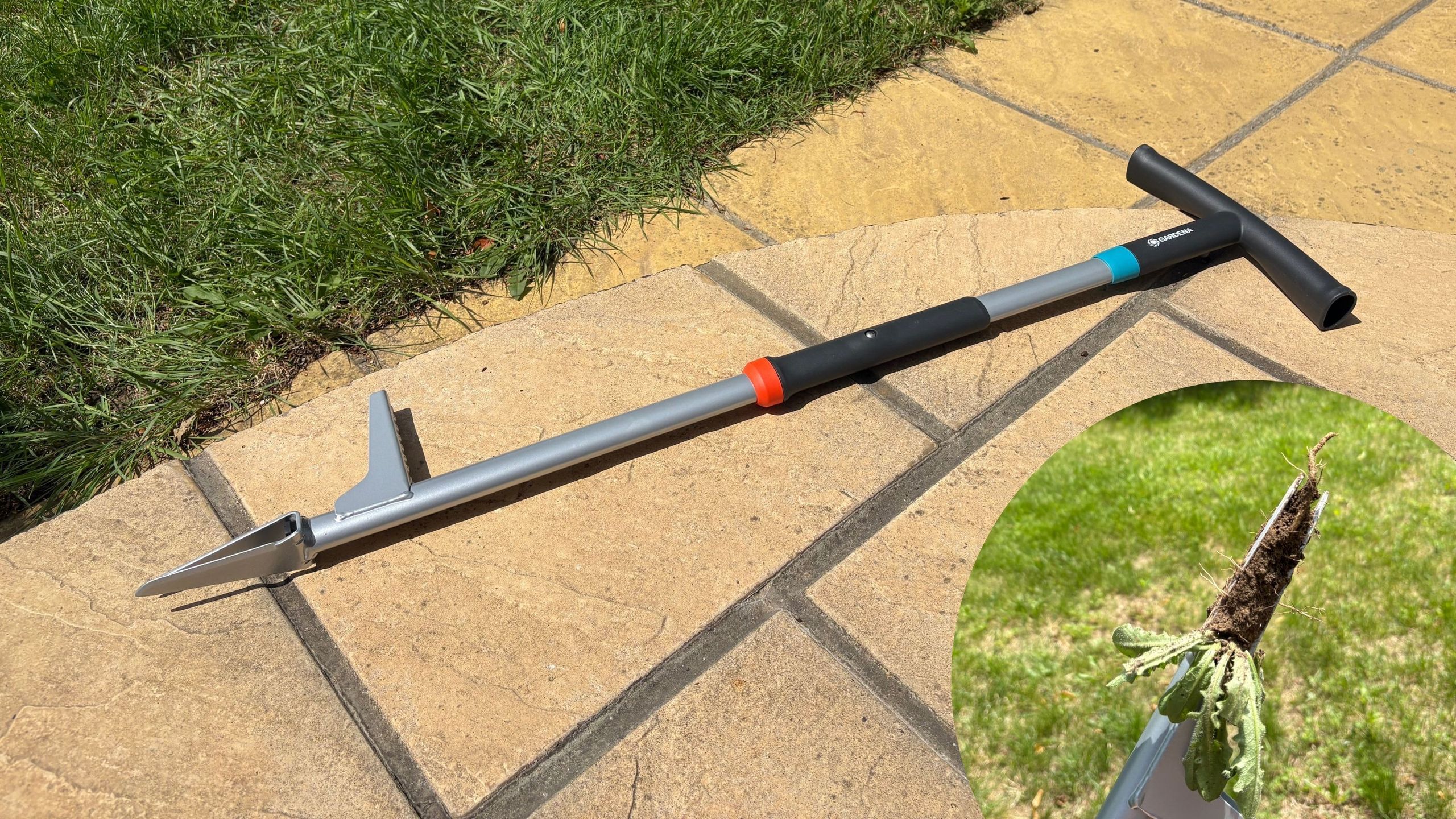 My lawn is dry and compacted, but this weed puller made removing even the most stubborn dandelions a breeze – in half the time, too